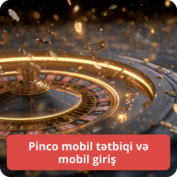 Pinco mobil tətbiqi və mobil giriş